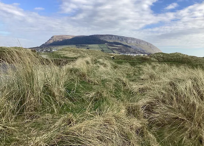 홈스테이 Gala House 스트랜드힐