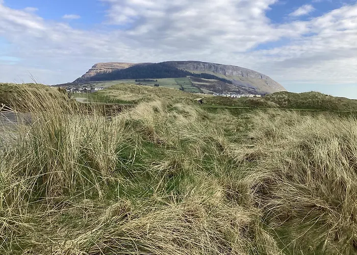 Gala House 홈스테이 *